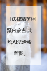 法律精英相聚内蒙古 共绘AI法治新蓝图
