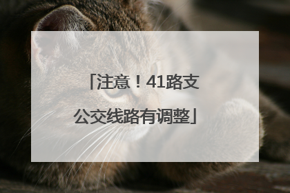 注意！41路支公交线路有调整