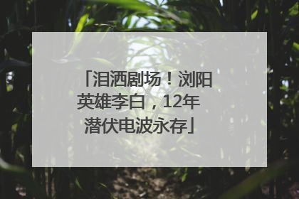 泪洒剧场！浏阳英雄李白，12年潜伏电波永存