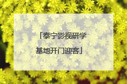 泰宁影视研学基地开门迎客