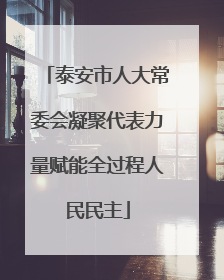 泰安市人大常委会凝聚代表力量赋能全过程人民民主