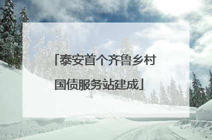 泰安首个齐鲁乡村国债服务站建成