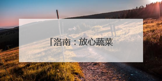 洛南：放心蔬菜点“绿”成金