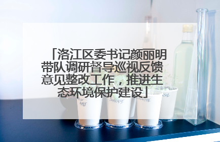 洛江区委书记颜丽明带队调研督导巡视反馈意见整改工作，推进生态环境保护建设