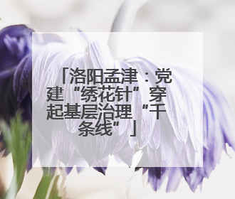 洛阳孟津：党建“绣花针”穿起基层治理“千条线”