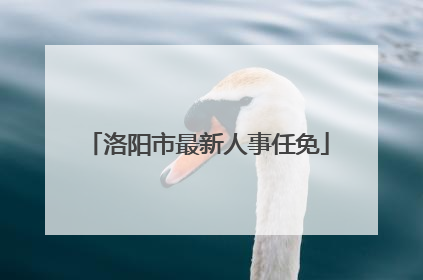 洛阳市最新人事任免