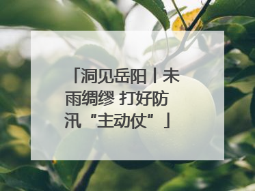 洞见岳阳丨未雨绸缪 打好防汛“主动仗”