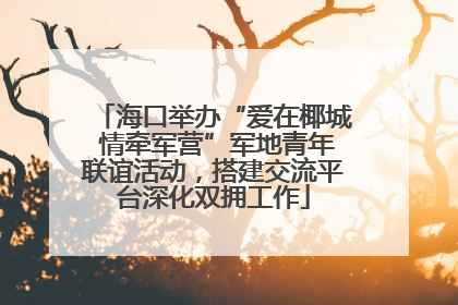 海口举办“爱在椰城 情牵军营”军地青年联谊活动，搭建交流平台深化双拥工作