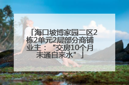 海口坡博家园二区2栋2单元2层部分商铺业主：“交房10个月未通自来水”