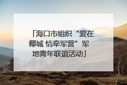 海口市组织“爱在椰城 情牵军营”军地青年联谊活动