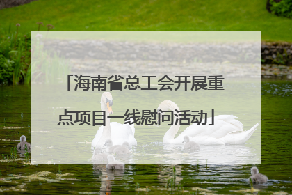 海南省总工会开展重点项目一线慰问活动