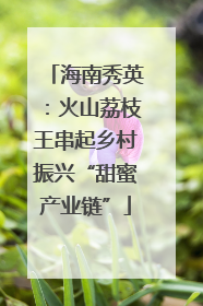 海南秀英：火山荔枝王串起乡村振兴“甜蜜产业链”