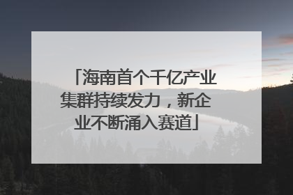 海南首个千亿产业集群持续发力，新企业不断涌入赛道