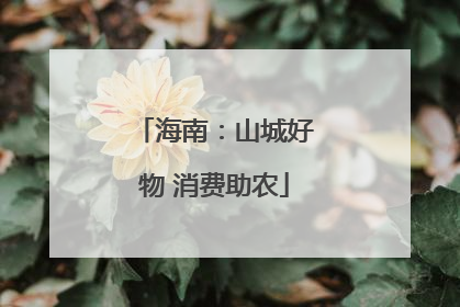 海南：山城好物 消费助农