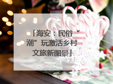 海安：民俗“潮”玩激活乡村文旅新图景