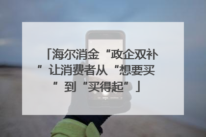 海尔消金“政企双补”让消费者从“想要买”到“买得起”