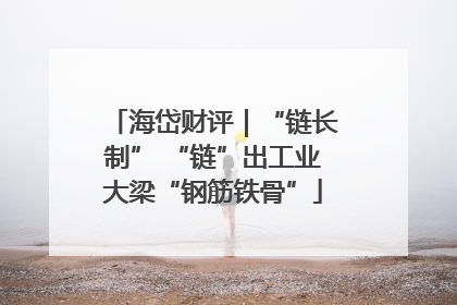 海岱财评｜“链长制” “链”出工业大梁“钢筋铁骨”