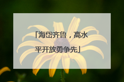 海岱齐鲁，高水平开放勇争先