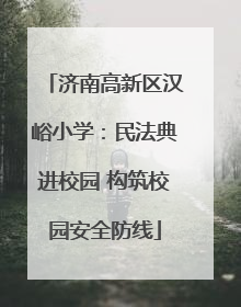 济南高新区汉峪小学：民法典进校园 构筑校园安全防线