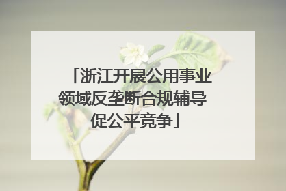浙江开展公用事业领域反垄断合规辅导 促公平竞争