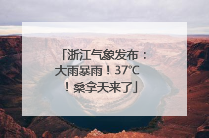 浙江气象发布：大雨暴雨！37℃！桑拿天来了