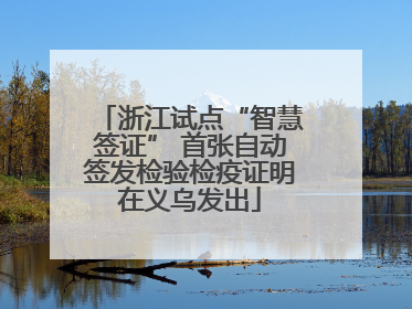 浙江试点“智慧签证” 首张自动签发检验检疫证明在义乌发出
