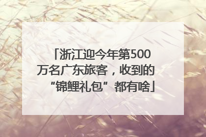 浙江迎今年第500万名广东旅客，收到的“锦鲤礼包”都有啥