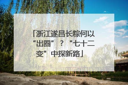 浙江遂昌长粽何以“出圈”？“七十二变”中探新路