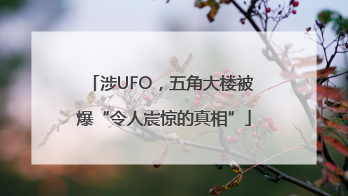 涉UFO，五角大楼被爆“令人震惊的真相”