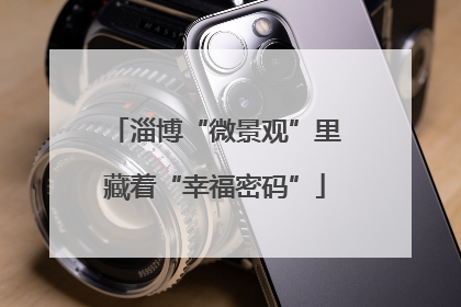 淄博“微景观”里藏着“幸福密码”