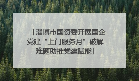 淄博市国资委开展国企党建“上门服务月”破解难题助推党建赋能