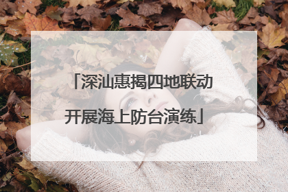 深汕惠揭四地联动开展海上防台演练