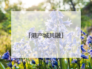 港产城共融
