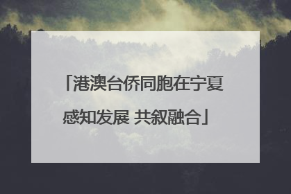 港澳台侨同胞在宁夏感知发展 共叙融合