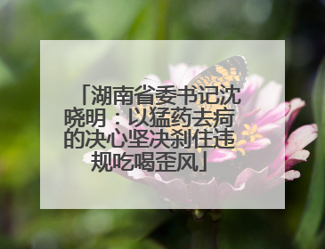 湖南省委书记沈晓明：以猛药去疴的决心坚决刹住违规吃喝歪风