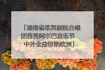 湖南省歌舞剧院合唱团首秀阿尔巴音乐节 中外金曲惊艳欧洲
