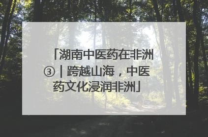湖南中医药在非洲③｜跨越山海，中医药文化浸润非洲