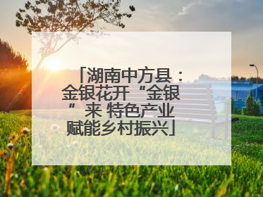 湖南中方县：金银花开“金银”来 特色产业赋能乡村振兴
