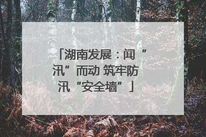 湖南发展：闻“汛”而动 筑牢防汛“安全墙”