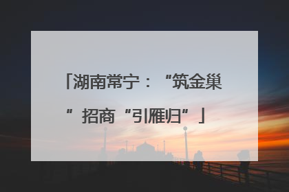 湖南常宁：“筑金巢”招商“引雁归”