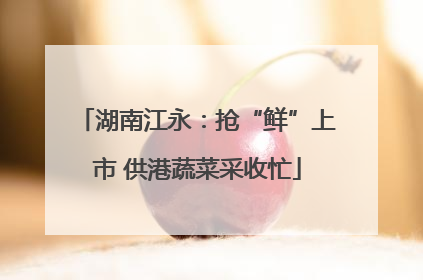 湖南江永：抢“鲜”上市 供港蔬菜采收忙