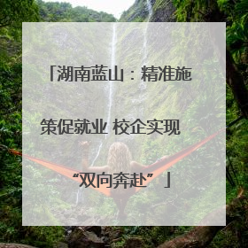 湖南蓝山：精准施策促就业 校企实现“双向奔赴”
