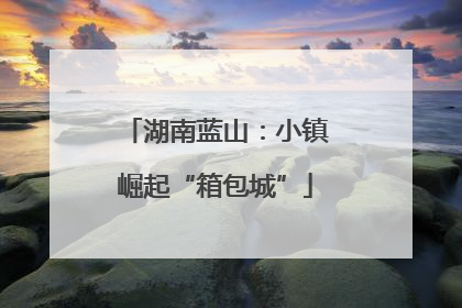 湖南蓝山：小镇崛起“箱包城”