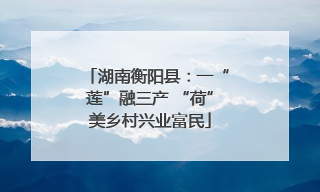 湖南衡阳县：一“莲”融三产 “荷”美乡村兴业富民