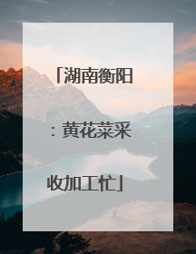 湖南衡阳：黄花菜采收加工忙