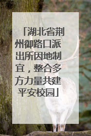 湖北省荆州御路口派出所因地制宜，整合多方力量共建平安校园