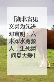 湖北省见义勇为先进邓章明：六米深水勇救人，生死瞬间显大爱