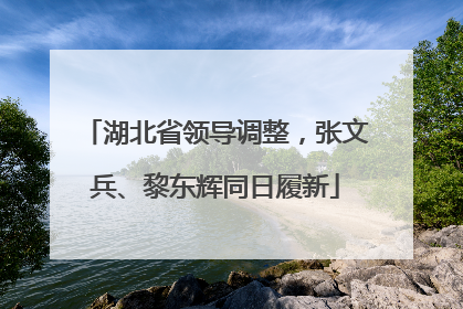 湖北省领导调整，张文兵、黎东辉同日履新