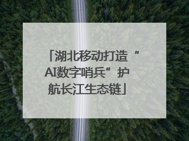 湖北移动打造“AI数字哨兵”护航长江生态链