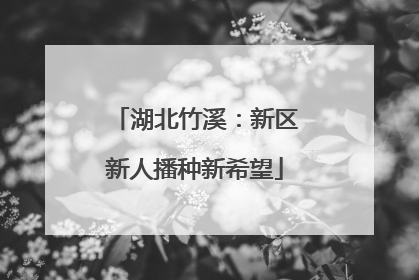 湖北竹溪：新区新人播种新希望